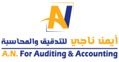AN for auditing and accounting